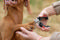 Nail Clipper
